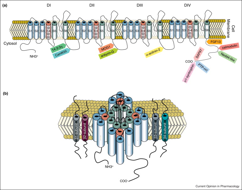 1 s2.0-S1471489213002324-gr1