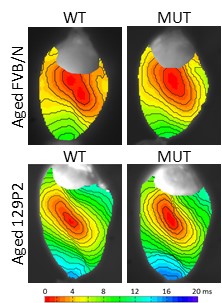 project1 Afbeelding2