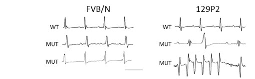 project1 Afbeelding3