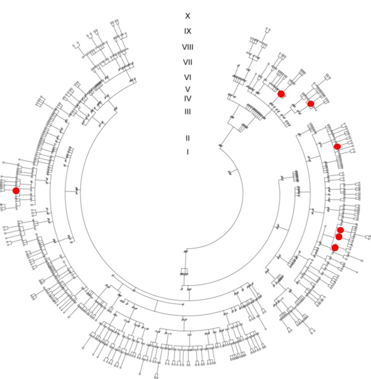 project1 Afbeelding5