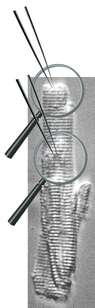 project2 Afbeelding17