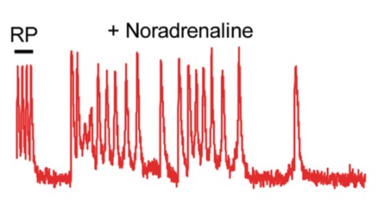 project3 Afbeelding20