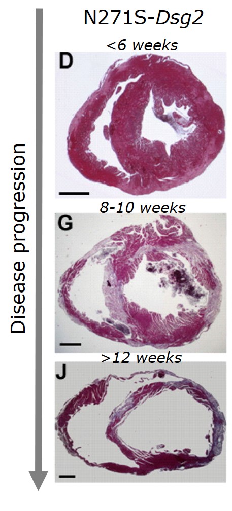 project5 Afbeelding11