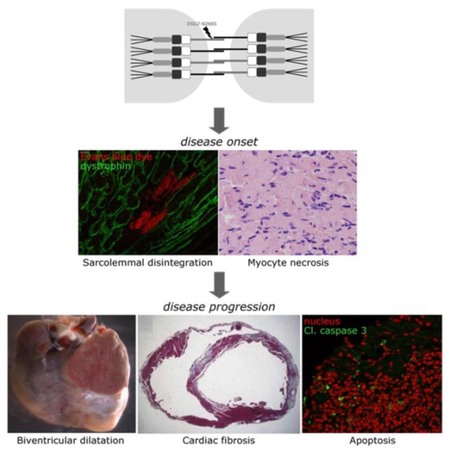 project5 Afbeelding24